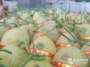 海南黄金哈密瓜今日价格,甜蜜来袭！