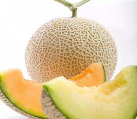 海南黄金哈密瓜今日价格,甜蜜来袭！