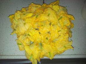 晚瓜今日价格,今日市场行情一览”