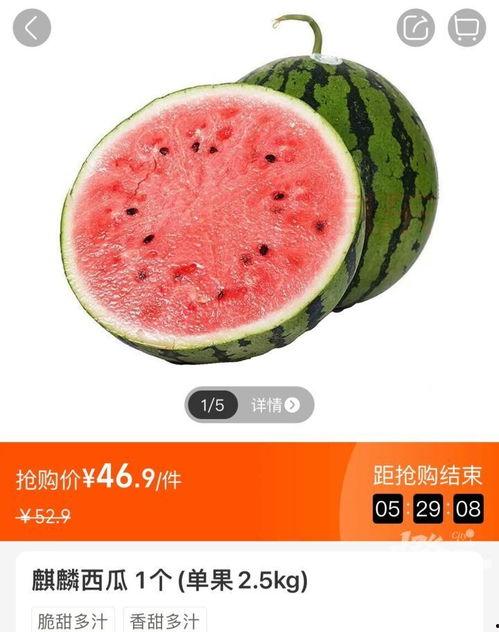 云南建水小瓜今日价格查询,云南建水小瓜今日价格行情分析